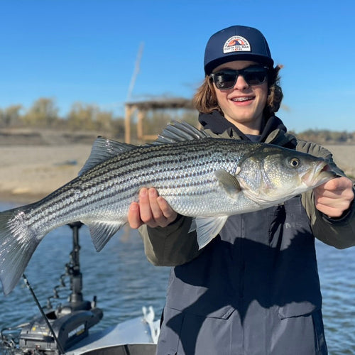 Lower Sac & Lake Oroville Fly Fishing Report