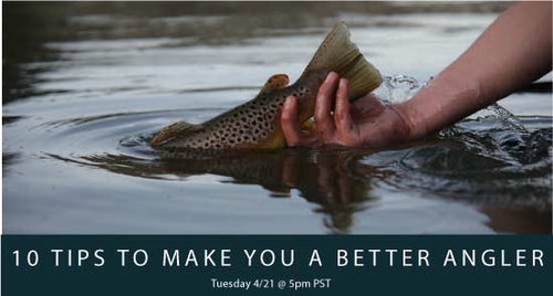 10 Tips to Make you a Better Angler