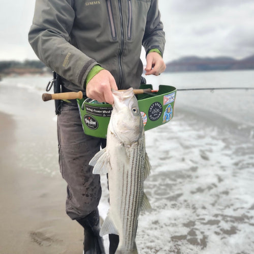 SF Bay Fly Fishing Report