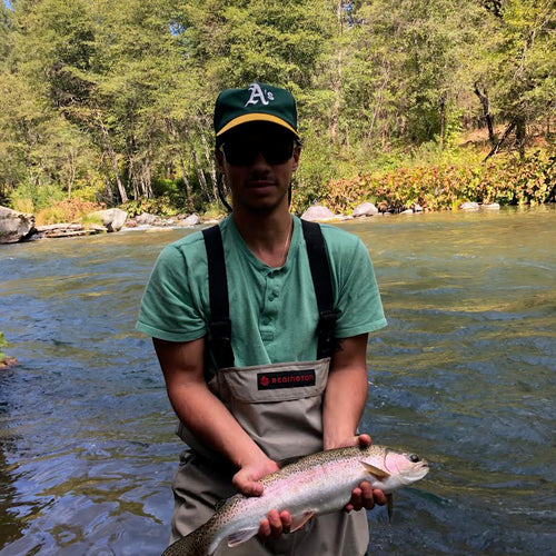 Northern California Fly Fishing Report