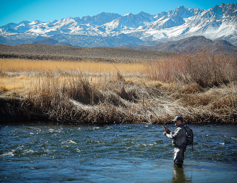 Eastern Sierra Fly Fishing Report
