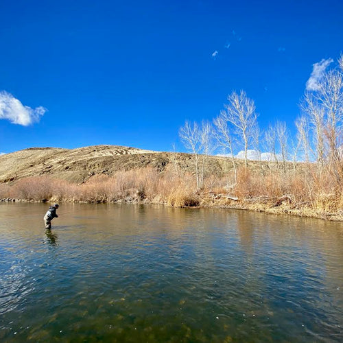 Truckee River Fly FIshing Report