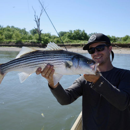 Sacramento River Striper Fly Fishing Report