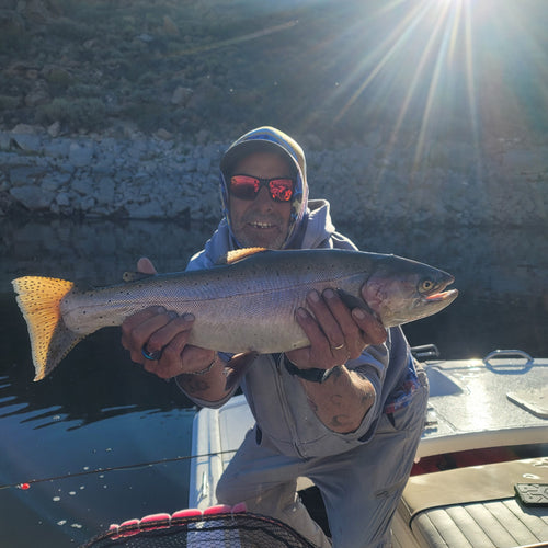 Eastern Sierra Fly Fishing Report