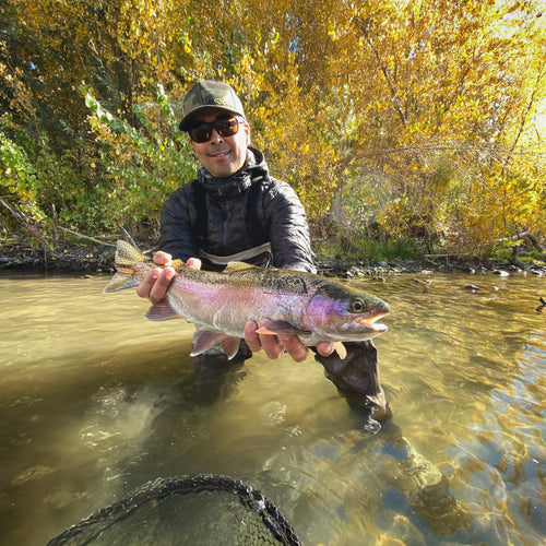 Truckee River Fly Fishing Report