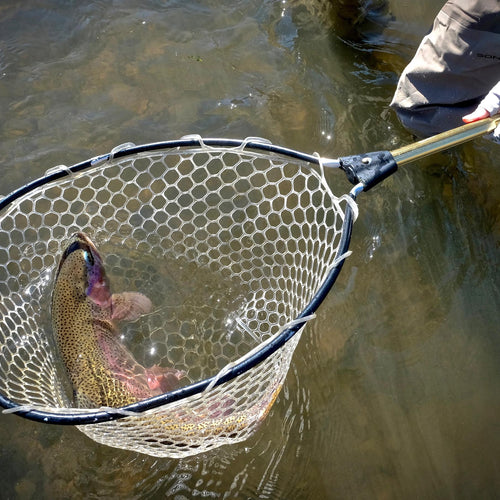 Truckee River Fly Fishing Report