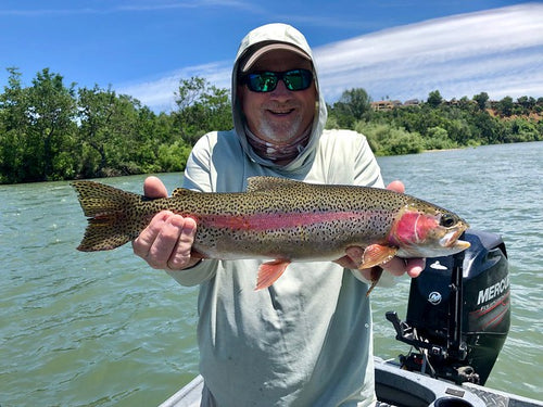 Lower Sacramento Fly Fishing Report
