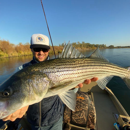 Lower Sacramento River Fly Fishing Report