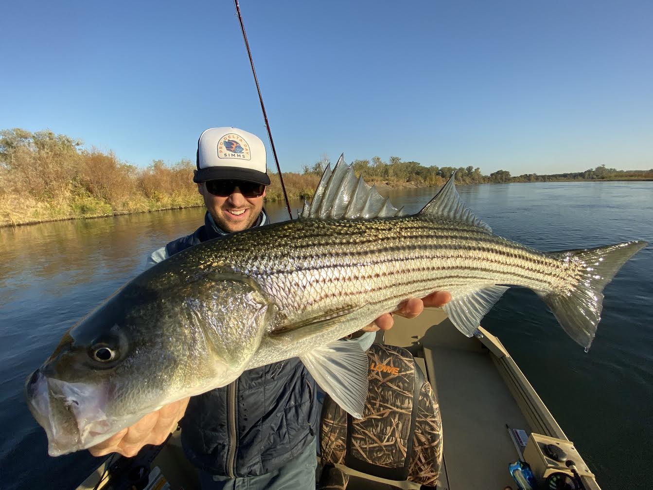 Lower Sacramento River Fly Fishing Report