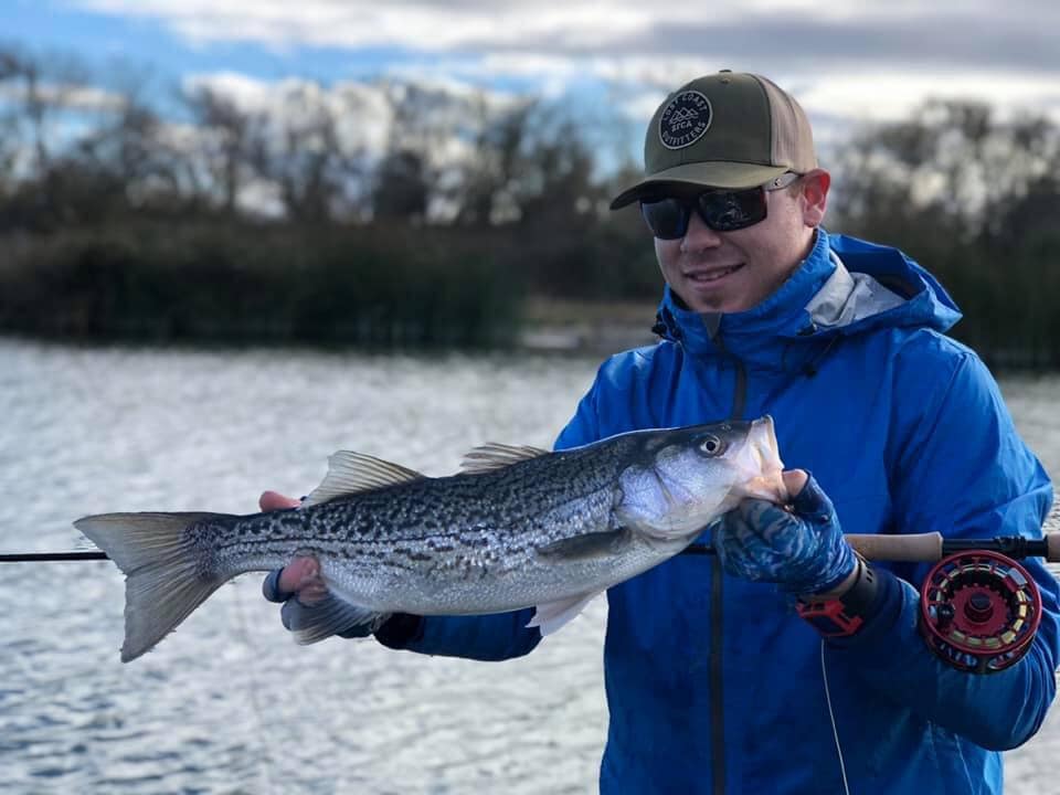 Local Surf Fly Fishing Report
