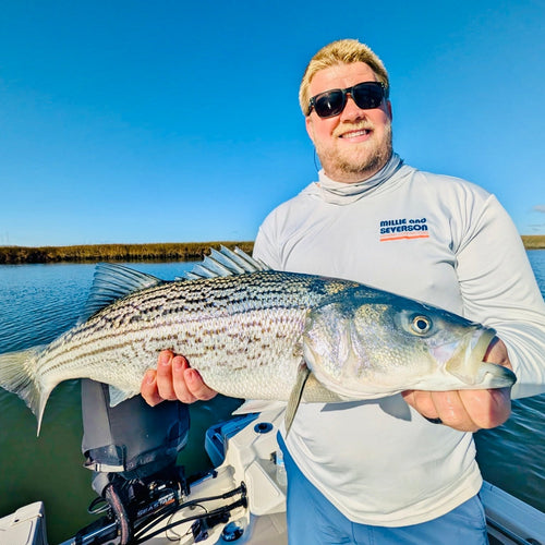 Napa River Fly Fishing Report