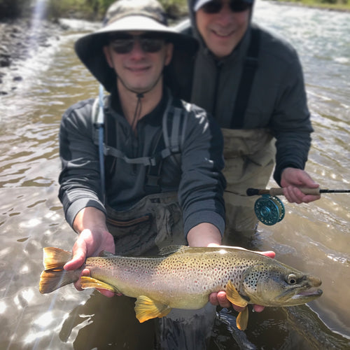 Truckee River Fly Fishing Report