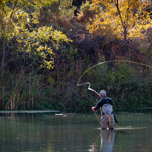 Eastern Sierra Fly Fishing Report