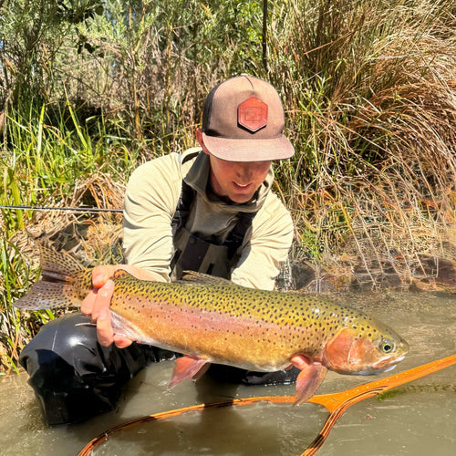 Lake Berryessa & Putah Creek Fly Fishing Report