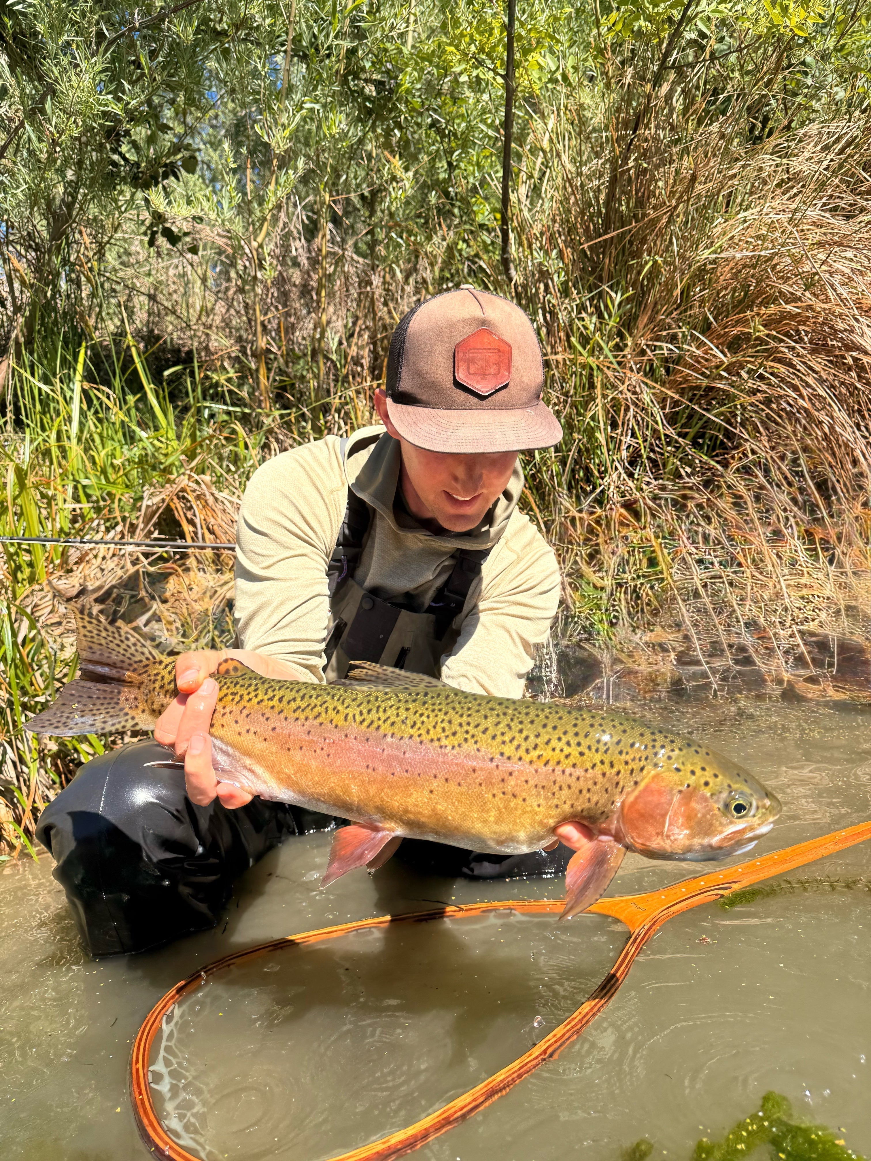 Lake Berryessa & Putah Creek Fly Fishing Report