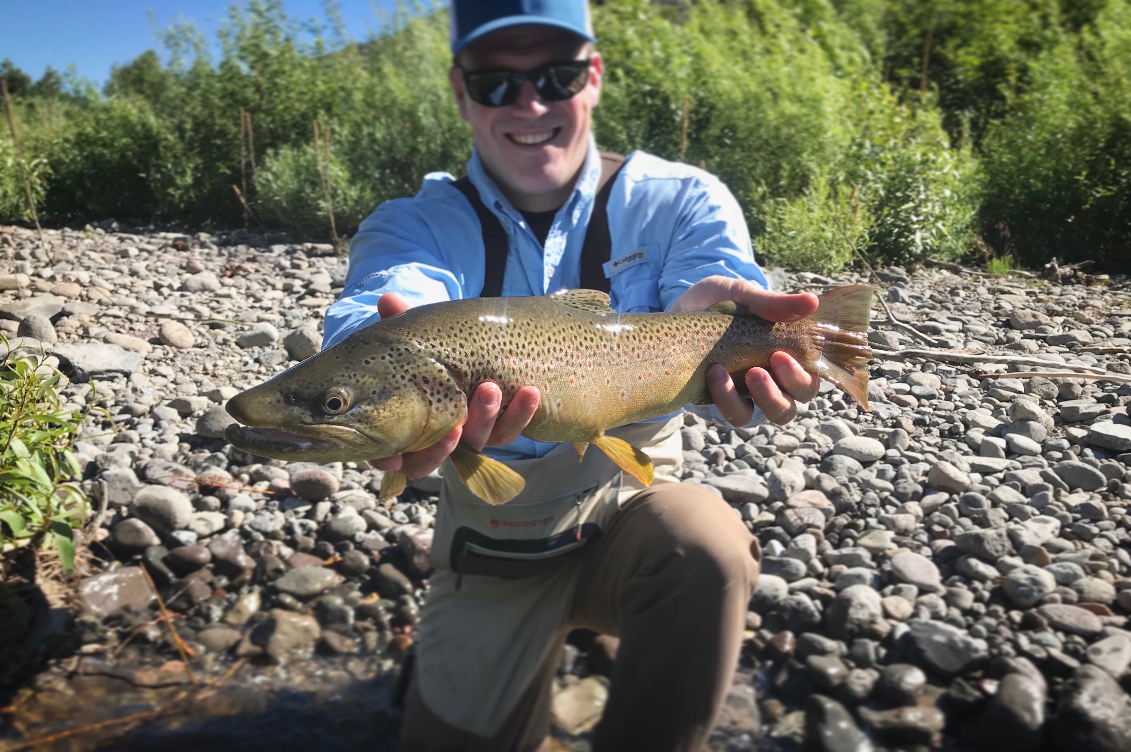 Truckee River Fly Fishing Report