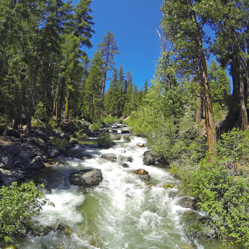 Eastern Plumes Creek Fly Fishing Report