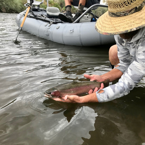 Truckee River Fly Fishing Report