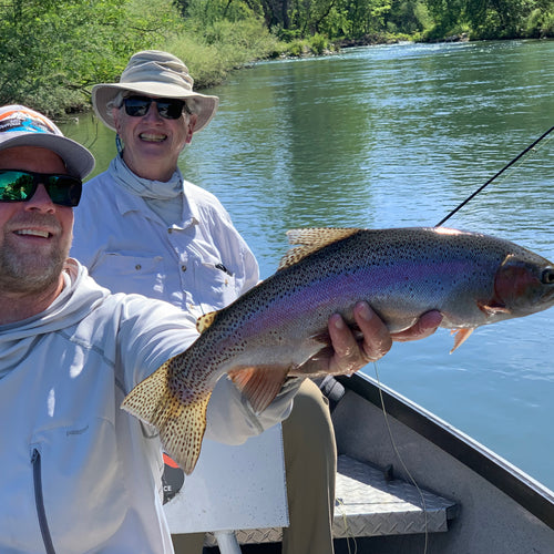 Lower Sacramento Fly Fishing Report