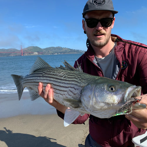 Local Surf Fly Fishing Report