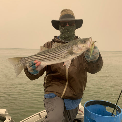 California Delta Fly Fishing Report