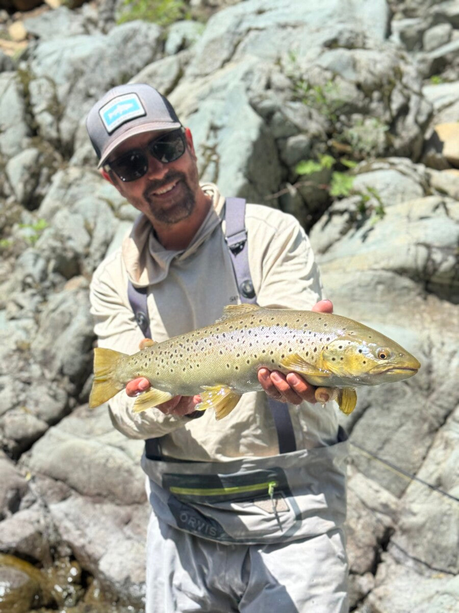 McCloud River & Upper Sac Fly Fishing Report
