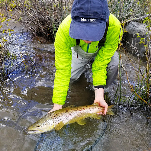 Truckee River Fly Fishing Report