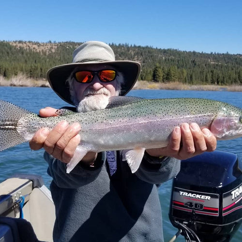 Lake Davis Fly Fishing Report
