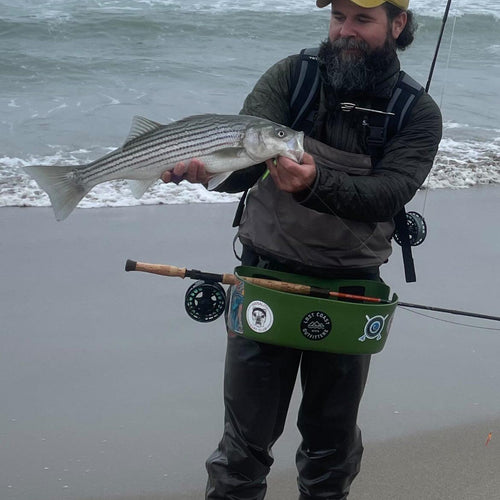 Central Coast Surf Madness!