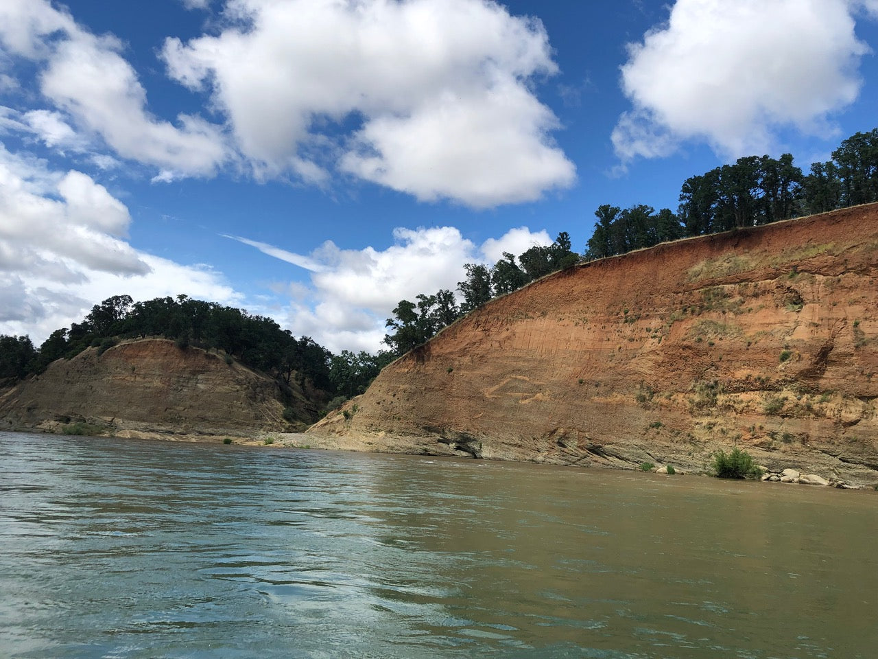 Lower Sacramento Fly Fishing Report