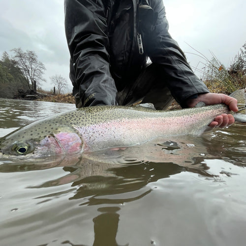 Fishing the Trinity River: Bobber or Spey