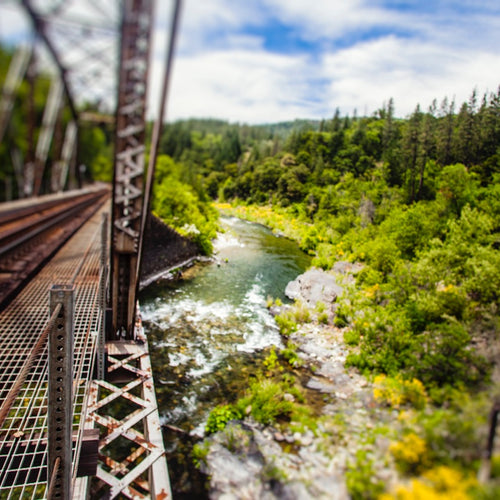 Upper Sacramento Fly Fishing Report
