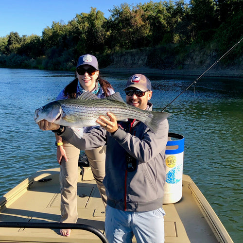 Lower Sacramento River Fishing Report