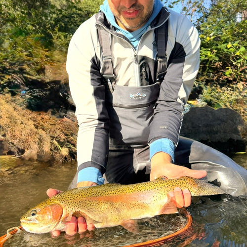 Lake Berryessa & Putah Creek Fly Fishing Report