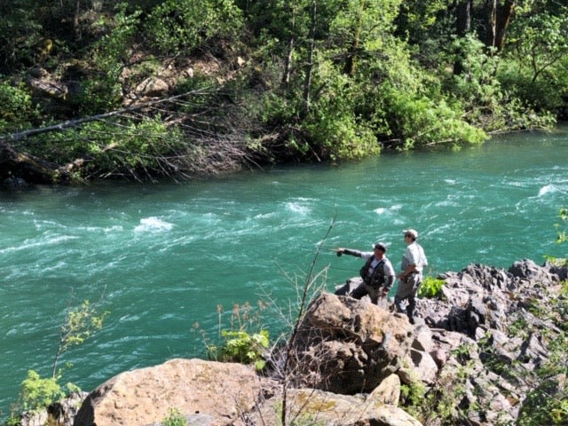 McCloud River Fly Fishing Report