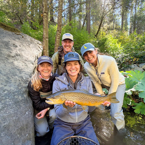 McCloud River Fly Fishing Report