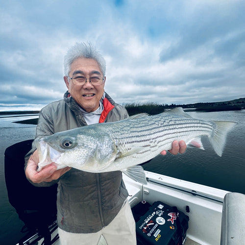 Napa River/SF Bay Fly Fishing Report
