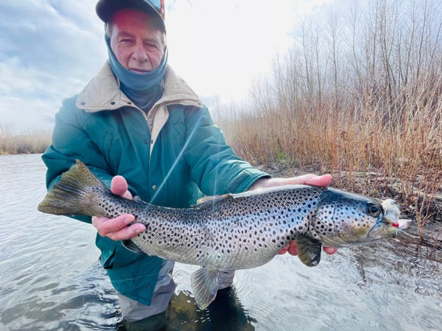 Truckee River Fly Fishing Report