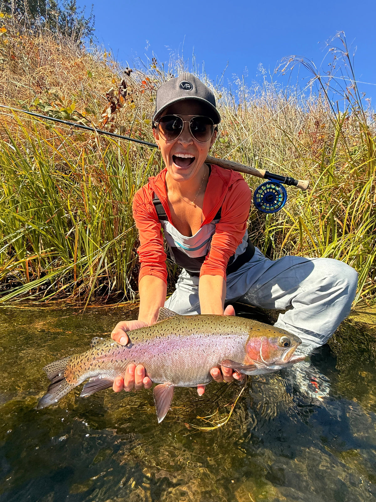 Putah Creek & Lake Berryessa Fly Fishing Report