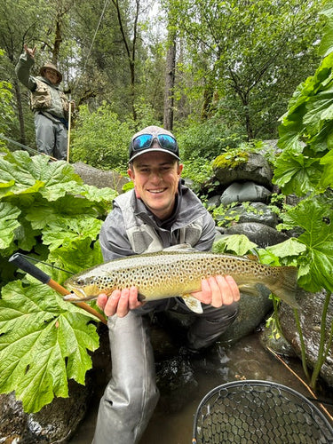 Upper Sac & McCloud Fly Fishing Report