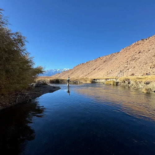 Eastern Sierra Fly Fishing Report