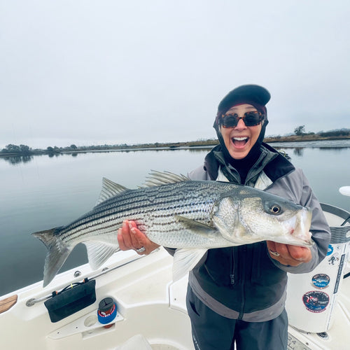 Napa River Fly Fishing Report