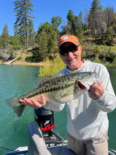 Redding Bass & Trout Fly Fishing Report
