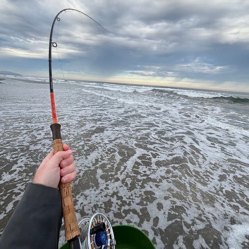Local Surf Fly Fishing Report