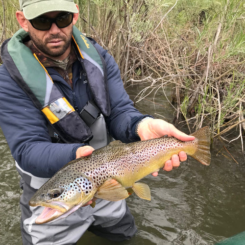 Truckee Fly Fishing Report