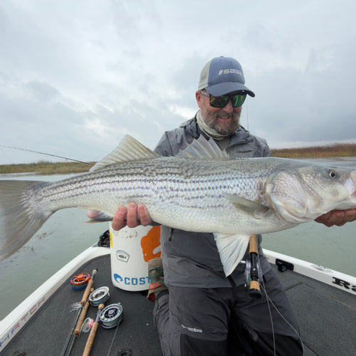 Local Surf & Bay Fly Fishing Report