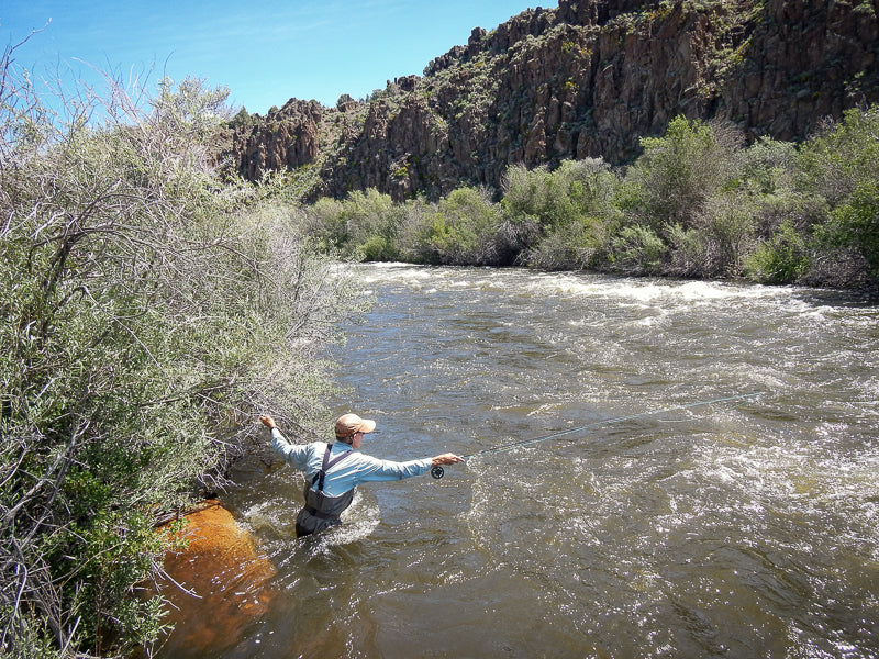 Eastern Sierra Fly Fishing Report