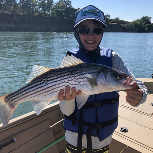 Lower Sacramento Striper and Salmon Report