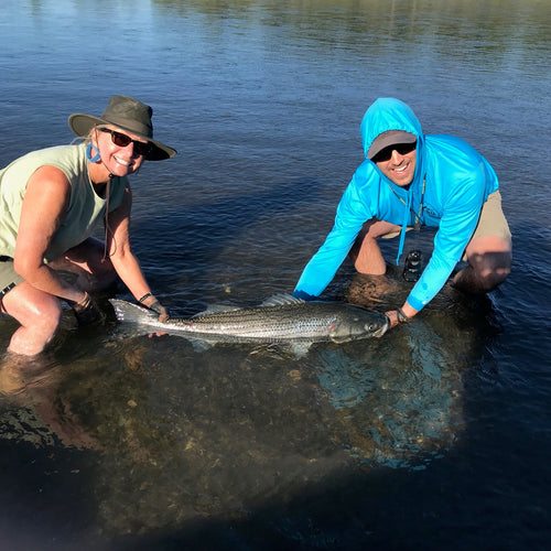 Lower Sacramento Fly Fishing Report Stripers