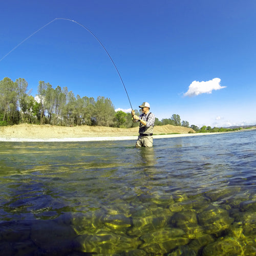 Lower Yuba River Fly Fishing Report